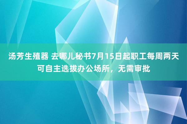 汤芳生殖器 去哪儿秘书7月15日起职工每周两天可自主选拔办公场所，无需审批