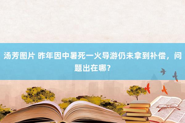 汤芳图片 昨年因中暑死一火导游仍未拿到补偿，问题出在哪？