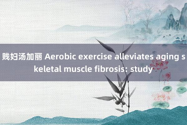 贱妇汤加丽 Aerobic exercise alleviates aging skeletal muscle fibrosis: study