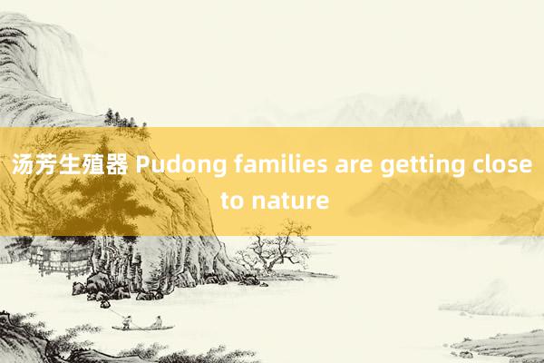 汤芳生殖器 Pudong families are getting close to nature