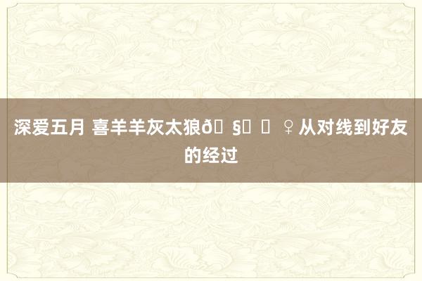 深爱五月 喜羊羊灰太狼🧚‍♀从对线到好友的经过