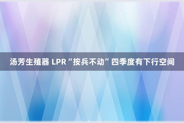 汤芳生殖器 LPR“按兵不动”四季度有下行空间