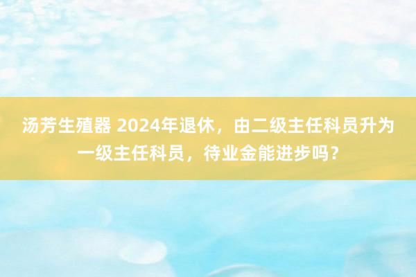 汤芳生殖器 2024年退休，由二级主任科员升为一级主任科员，待业金能进步吗？