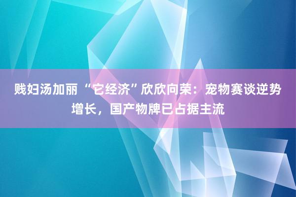 贱妇汤加丽 “它经济”欣欣向荣：宠物赛谈逆势增长，国产物牌已占据主流