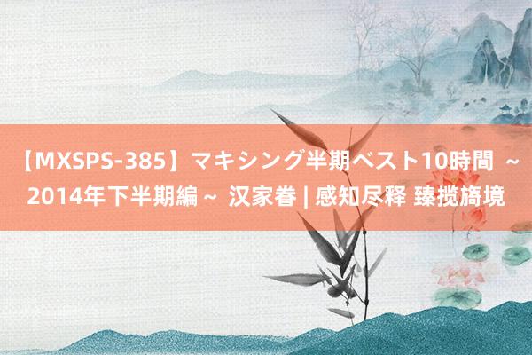 【MXSPS-385】マキシング半期ベスト10時間 ～2014年下半期編～ 汉家眷 | 感知尽释 臻揽旖境