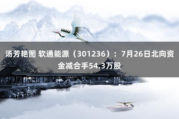 汤芳艳图 软通能源（301236）：7月26日北向资金减合手54.3万股