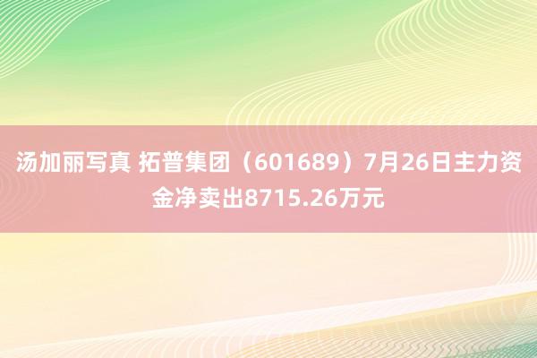 汤加丽写真 拓普集团（601689）7月26日主力资金净卖出8715.26万元