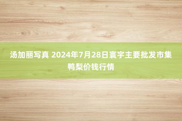 汤加丽写真 2024年7月28日寰宇主要批发市集鸭梨价钱行情