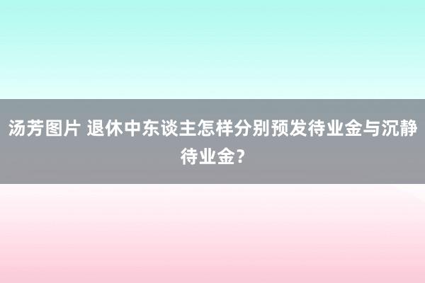 汤芳图片 退休中东谈主怎样分别预发待业金与沉静待业金？