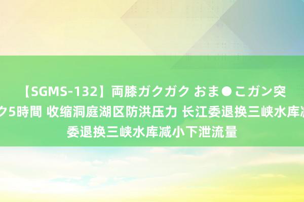 【SGMS-132】両膝ガクガク おま●こガン突き 立ちバック5時間 收缩洞庭湖区防洪压力 长江委退换三峡水库减小下泄流量