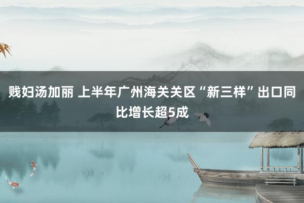 贱妇汤加丽 上半年广州海关关区“新三样”出口同比增长超5成