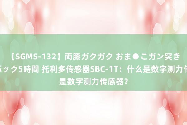 【SGMS-132】両膝ガクガク おま●こガン突き 立ちバック5時間 托利多传感器SBC-1T：什么是数字测力传感器？