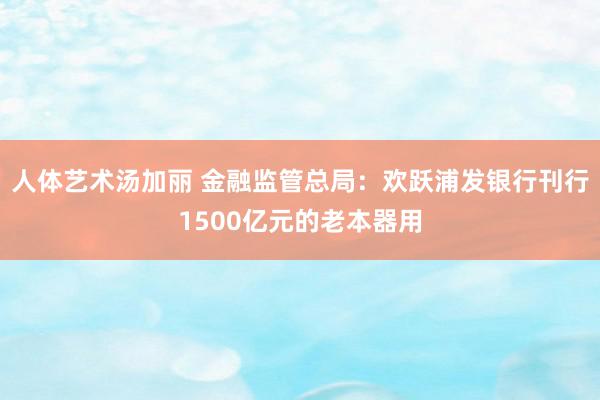 人体艺术汤加丽 金融监管总局：欢跃浦发银行刊行1500亿元的老本器用