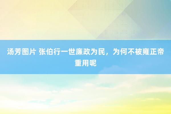 汤芳图片 张伯行一世廉政为民，为何不被雍正帝重用呢