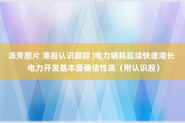 汤芳图片 港股认识跟踪 |电力销耗延续快速增长  电力开发基本面确信性高（附认识股）