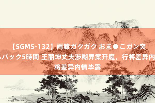 【SGMS-132】両膝ガクガク おま●こガン突き 立ちバック5時間 王丽坤丈夫涉糊弄案开庭，行将差异内情毕露