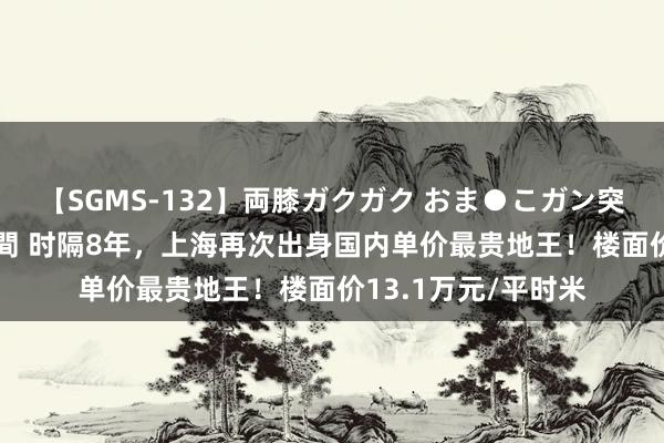 【SGMS-132】両膝ガクガク おま●こガン突き 立ちバック5時間 时隔8年，上海再次出身国内单价最贵地王！楼面价13.1万元/平时米