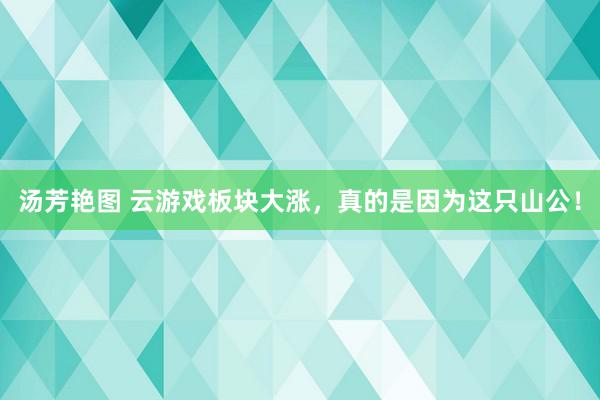 汤芳艳图 云游戏板块大涨，真的是因为这只山公！