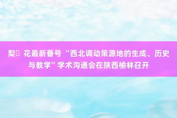 梨々花最新番号 “西北调动策源地的生成、历史与教学”学术沟通会在陕西榆林召开