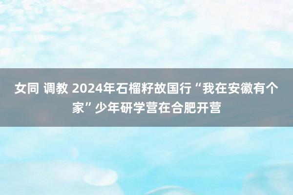 女同 调教 2024年石榴籽故国行“我在安徽有个家”少年研学营在合肥开营