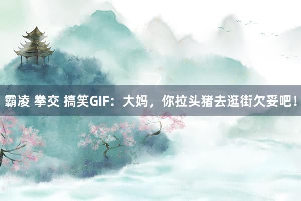 霸凌 拳交 搞笑GIF：大妈，你拉头猪去逛街欠妥吧！