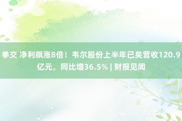 拳交 净利飙涨8倍！韦尔股份上半年已矣营收120.9亿元，同比增36.5% | 财报见闻