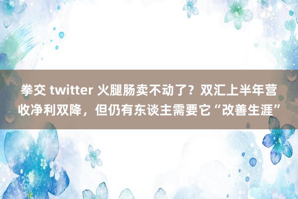 拳交 twitter 火腿肠卖不动了？双汇上半年营收净利双降，但仍有东谈主需要它“改善生涯”