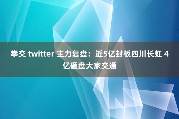 拳交 twitter 主力复盘：近5亿封板四川长虹 4亿砸盘大家交通