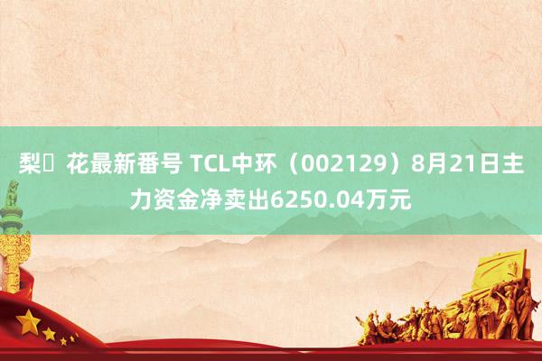 梨々花最新番号 TCL中环（002129）8月21日主力资金净卖出6250.04万元