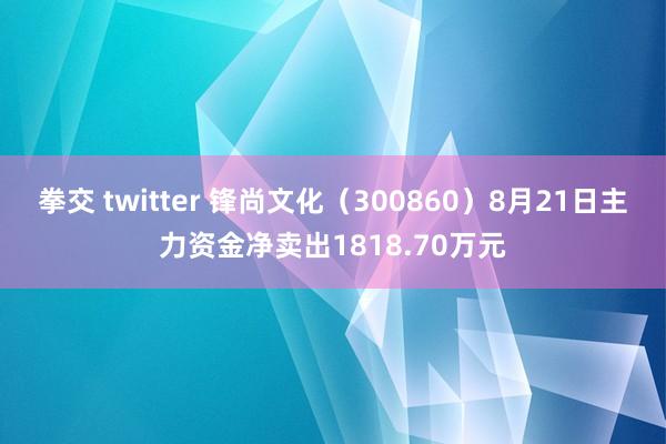 拳交 twitter 锋尚文化（300860）8月21日主力资金净卖出1818.70万元