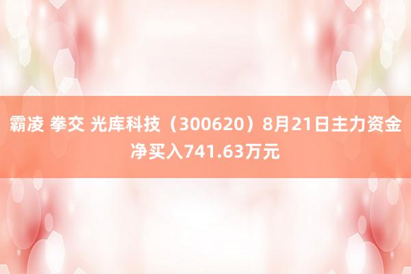 霸凌 拳交 光库科技（300620）8月21日主力资金净买入741.63万元