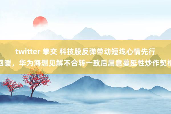 twitter 拳交 科技股反弹带动短线心情先行回暖，华为海想见解不合转一致后属意蔓延性炒作契机