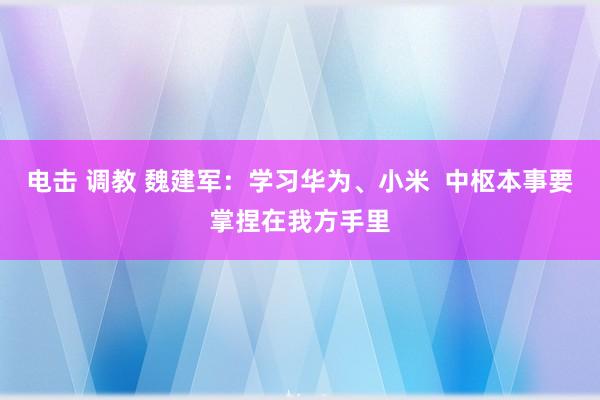 电击 调教 魏建军：学习华为、小米  中枢本事要掌捏在我方手里