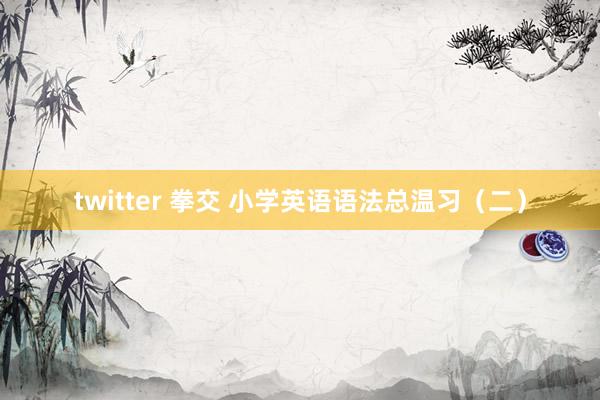 twitter 拳交 小学英语语法总温习（二）